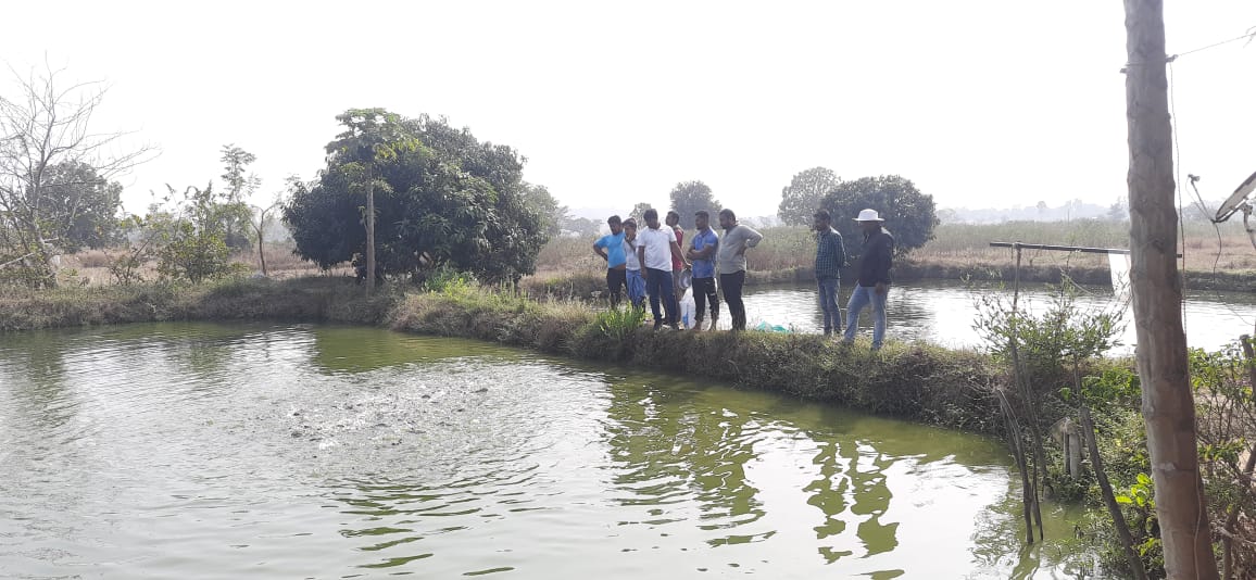 Fish Farm Of Member Of Fisheries Interest Group In Mulchera 2